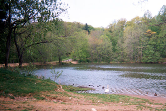 birge-pond-bristol-ct.jpeg
