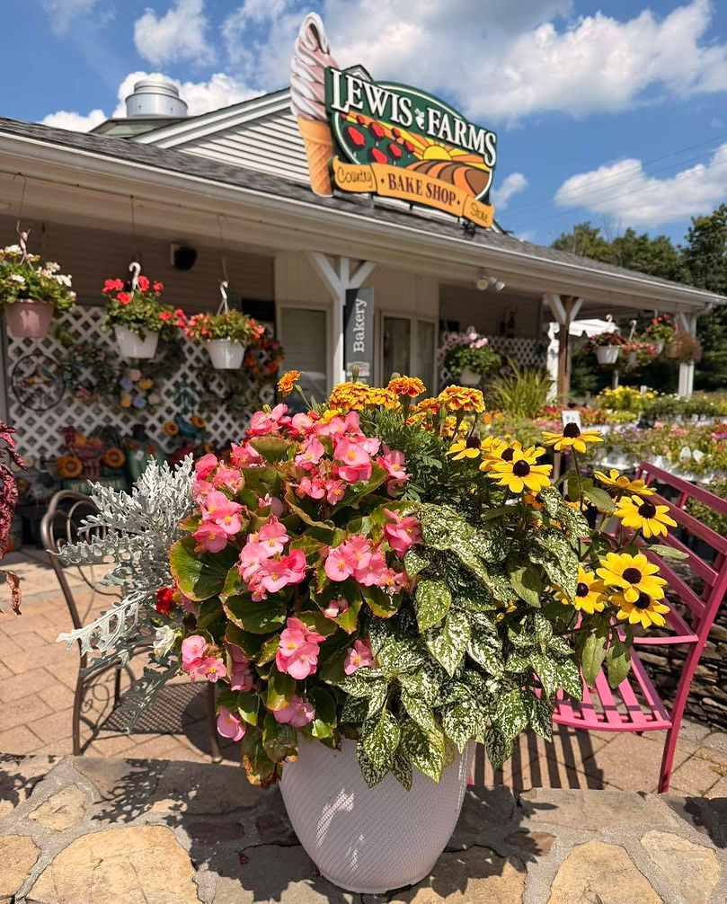 Lewis Farms in August.jpg
