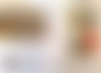 Presse _ Sani Designstudio März 2019