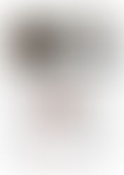 Presse _ Sani Designstudio März 2018