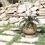 Miniature : Table basse en laiton par Maison Jansen 1970