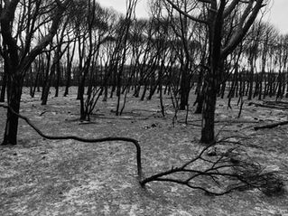 silence, what is it ?