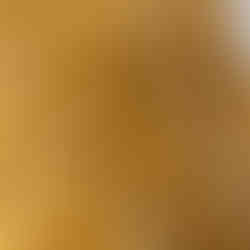 Pure Tussar Ghicha Silk Saree Blouse