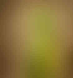 Green Ombre HO Silk Saree Front View