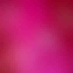 Pink HO Silk Saree Detailing