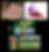 Specility Plants a.png