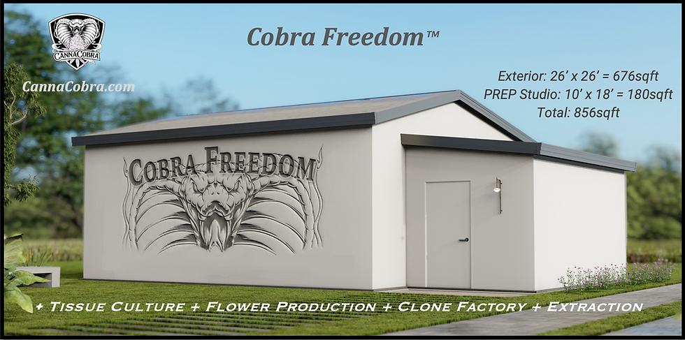 CF Building 2026.png