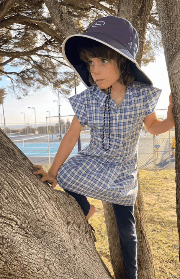 Untitled design (5).gif