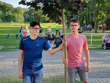 Sázení stromu