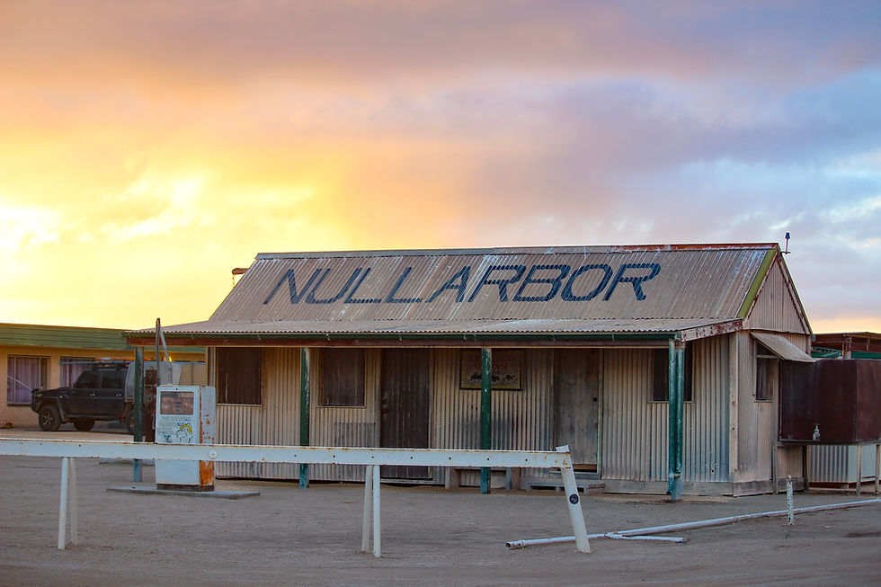 Ghouls, Camels, and Confiscated Avocados: Crossing the Nullarbor