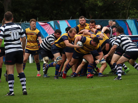 1st XV Squad selection - 16 November