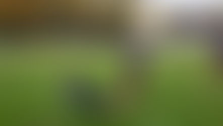 Cobham hold out for tenth straight victory this season