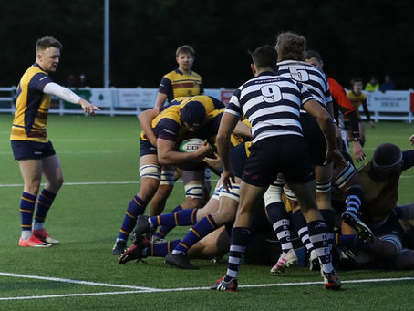 Cobham push Havant all the way in narrow defeat