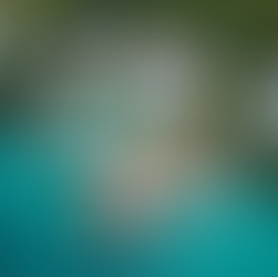 The Advantage of Engaging a Seasoned Surveyor for Executive Property Insights