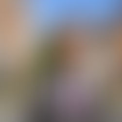 Should You Add a Valuation to Your Level 2 or Level 3 Survey?