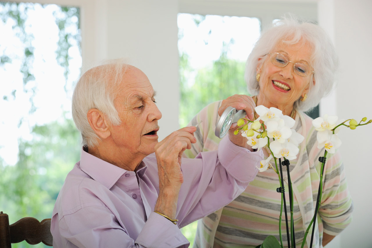 SENIOR SERVICES