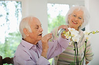 formation massage personnes âgées, stage de 2 jours