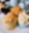 IMG_7793.jpeg