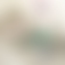 新しいカタログができました