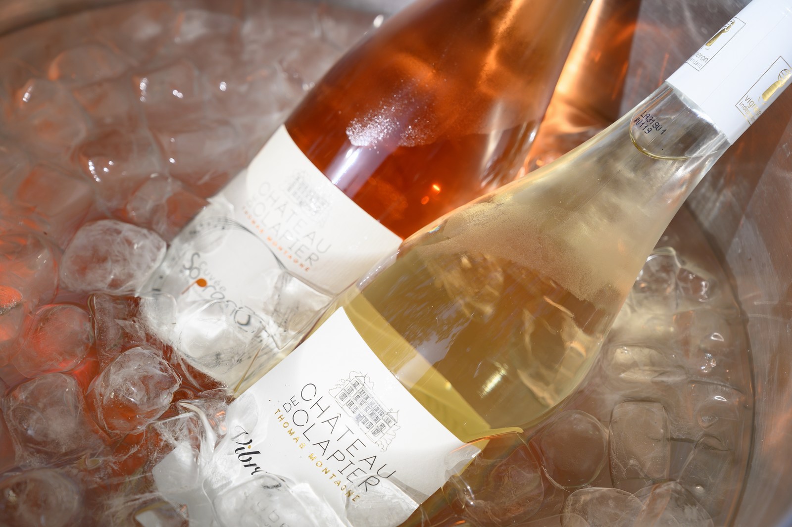 Vin19_NOU8384