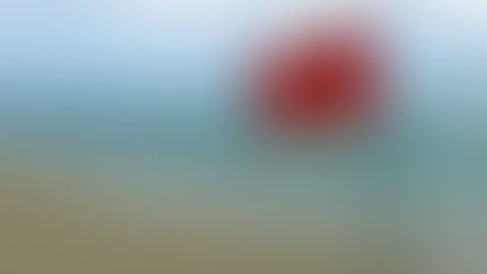 5 Things Not to Do in Bali