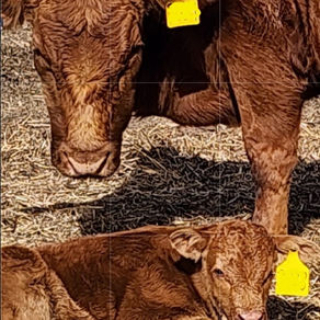 You're Moving Where?!?