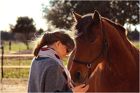 Forfait Découverte Chevaux.jpg