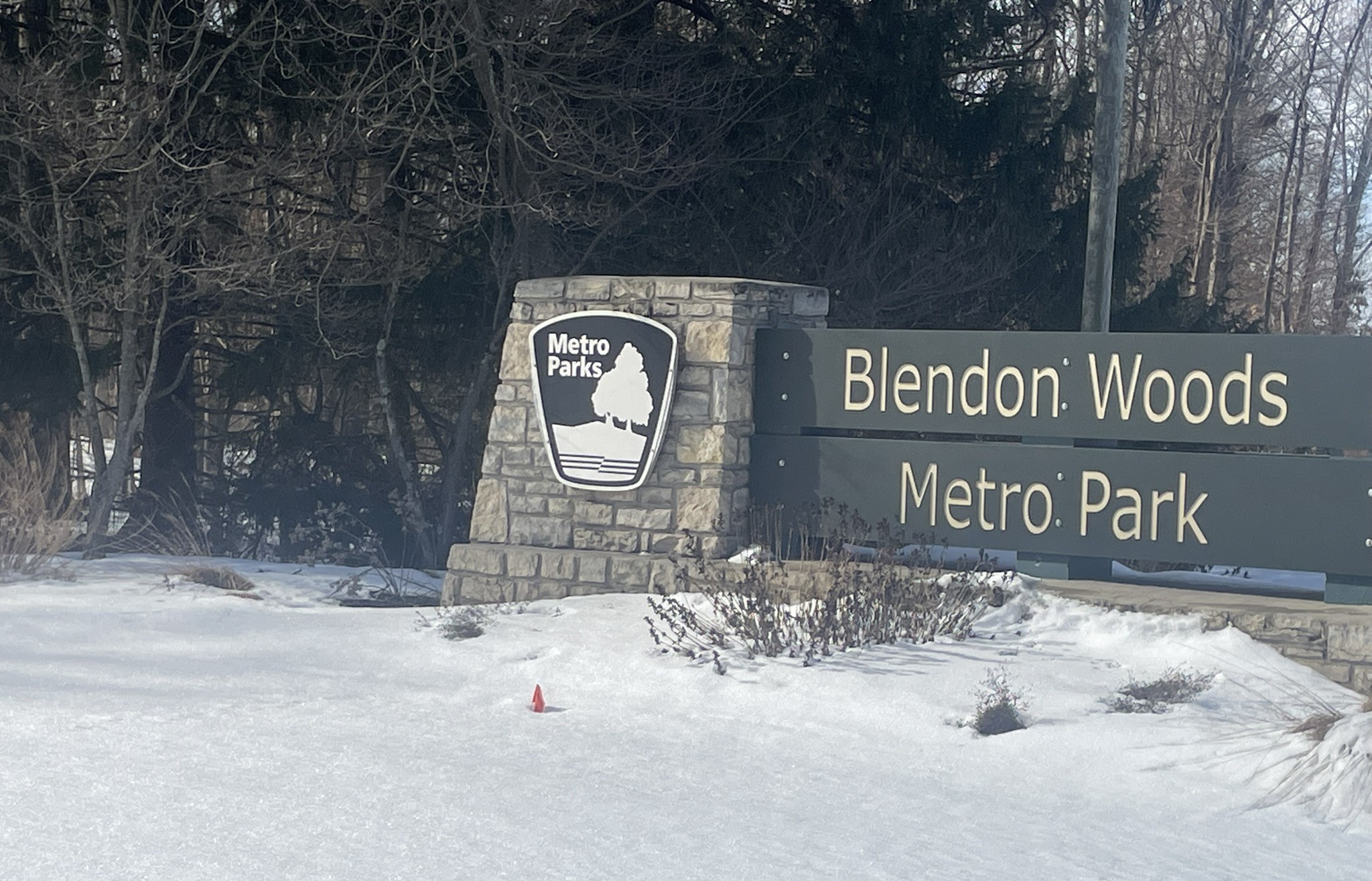 Blendon Woods Westerville Ohio — mature tree canopy pollen and organic drift