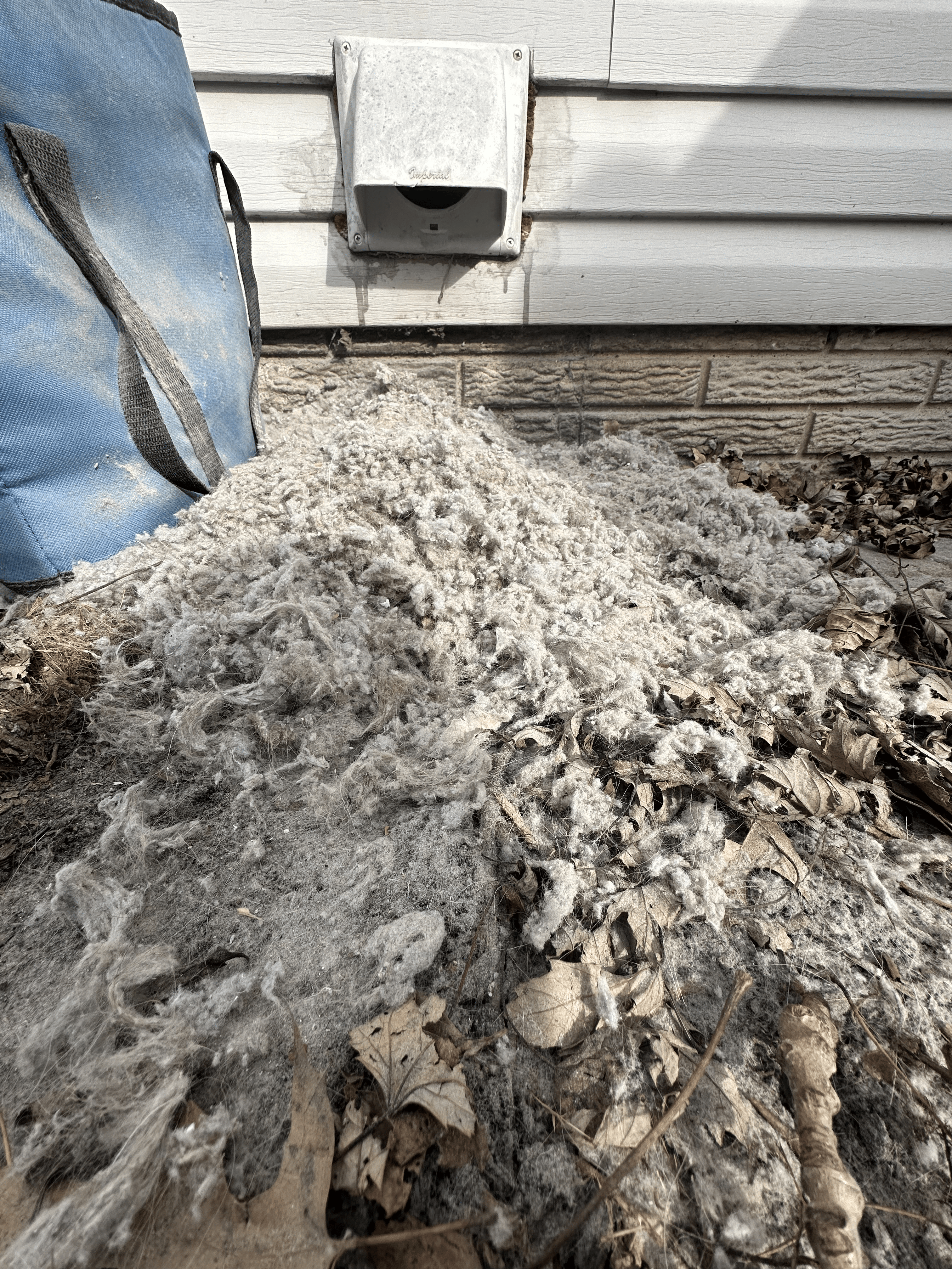 Dryer vent lint pile removed — Clean Air Pros Columbus Ohio