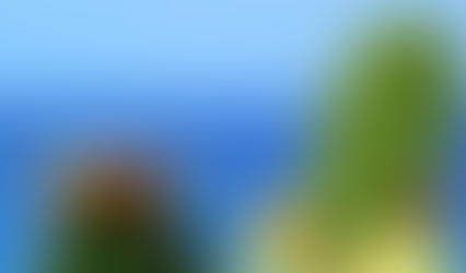 Il fico d'india: una risorsa preziosa