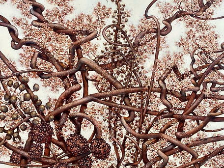 Screenshot 2025-10-24 at 4.36_edited.jpg