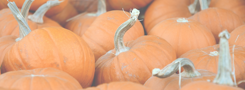 Orange Pumpkins_edited.png