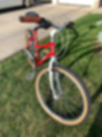 Raleigh 5