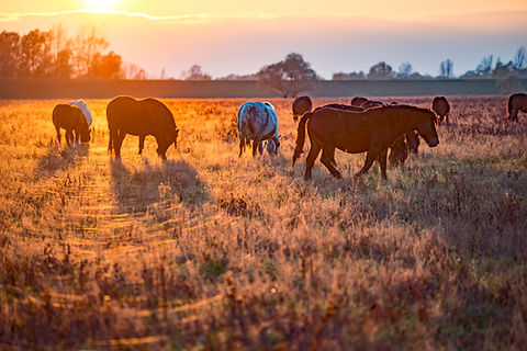 Poziv na 1. Posavske šetnje