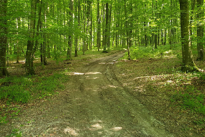 Pješačka ruta oko Seoskog turizma Kezele