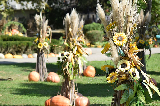 The 19th Pumpkin Festival was held in Ivanić-Grad