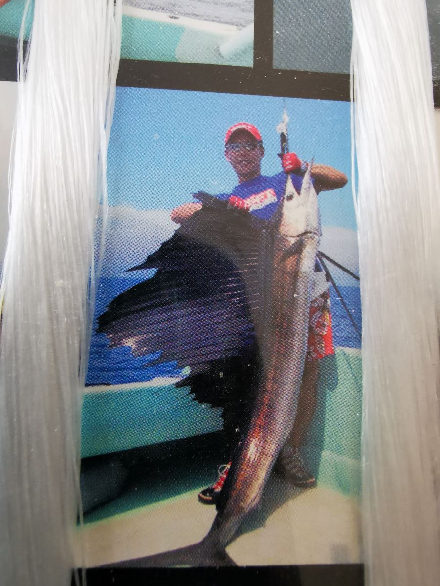 Hakenlos Marlin, Sailfish & Speerfisch fangen.