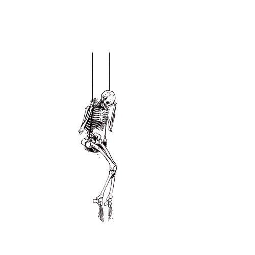 tumblr_nd8ul8S5ug1slxcr4o1_500.gif