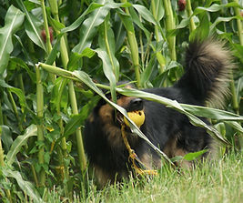 DSC06263.JPG