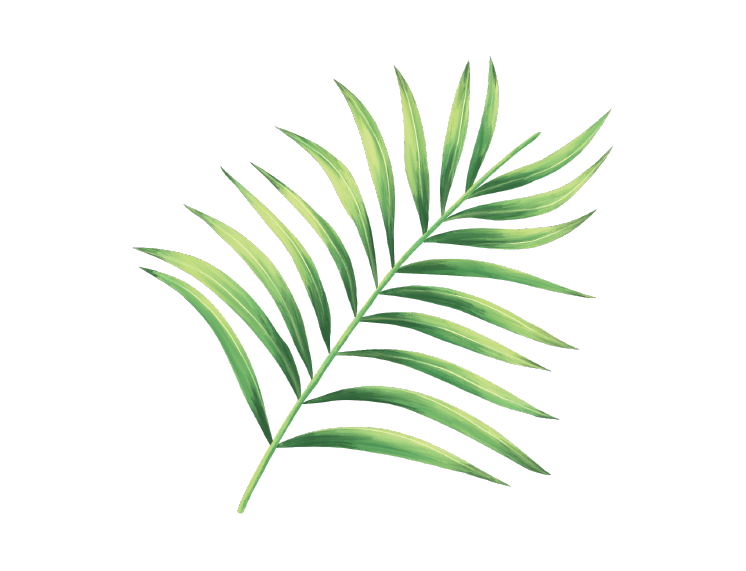 leaf 1.png