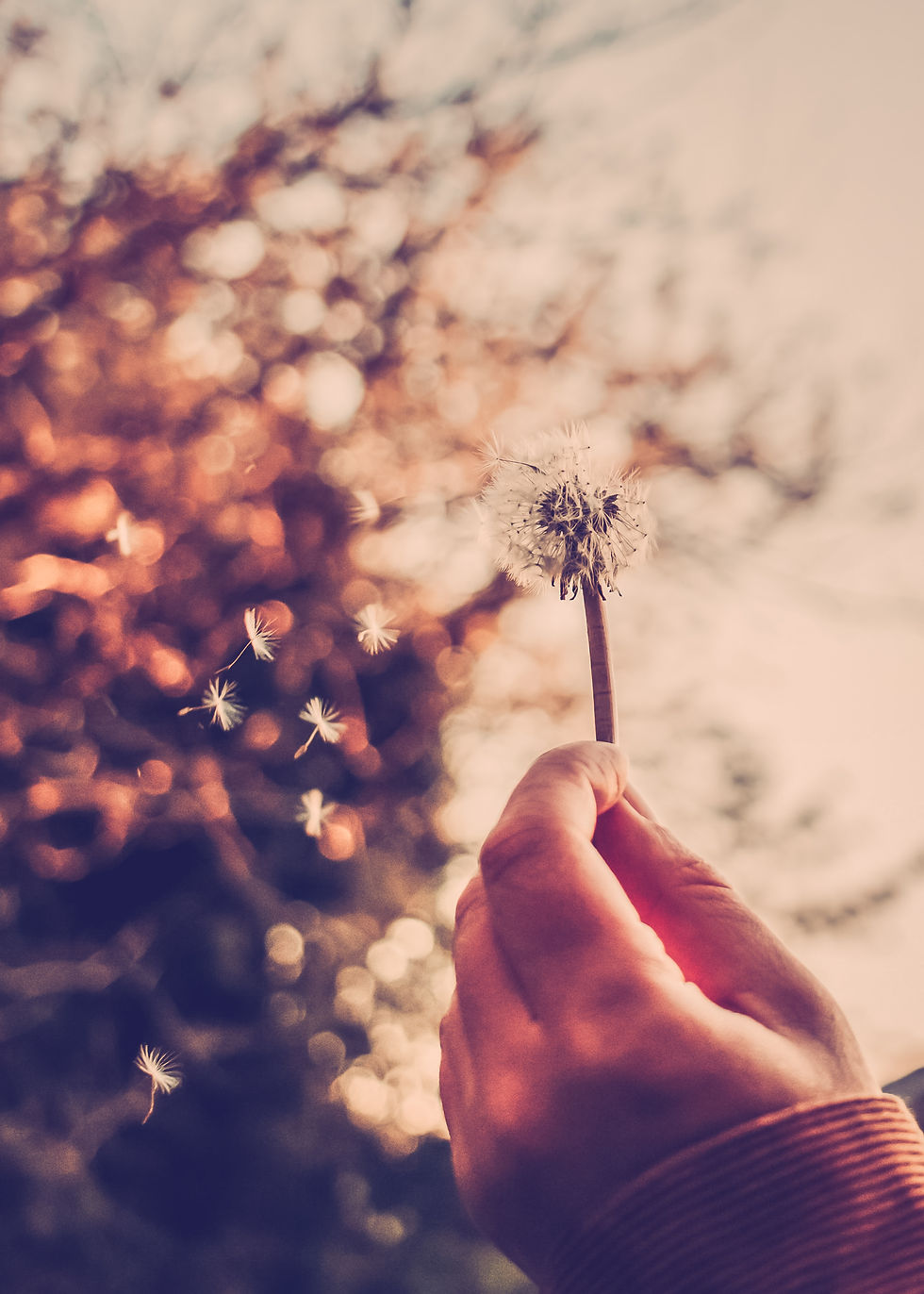 Modernes Ho'oponopono