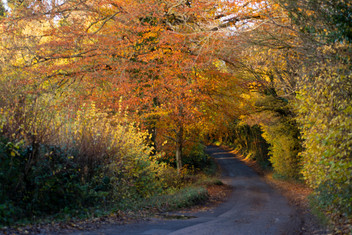 Somerset Road in Autumn