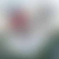 Altura, vittoria nella XIX Sailing Cooking