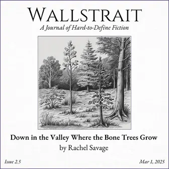 Wallstrait Issue 2.5