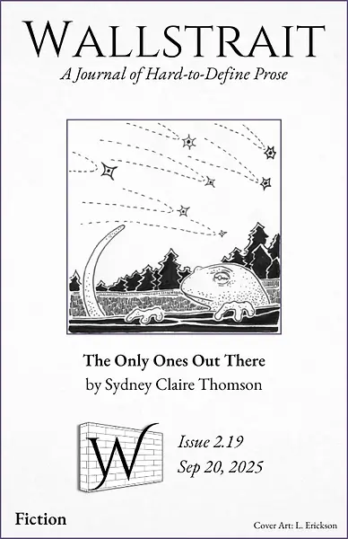 Wallstrait Issue 2.19 Cover.webp