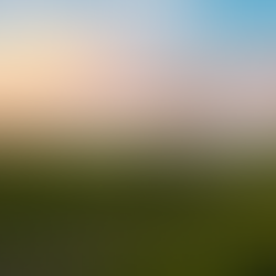 Oeste da Bahia assume liderança em irrigação por pivôs centrais no Brasil