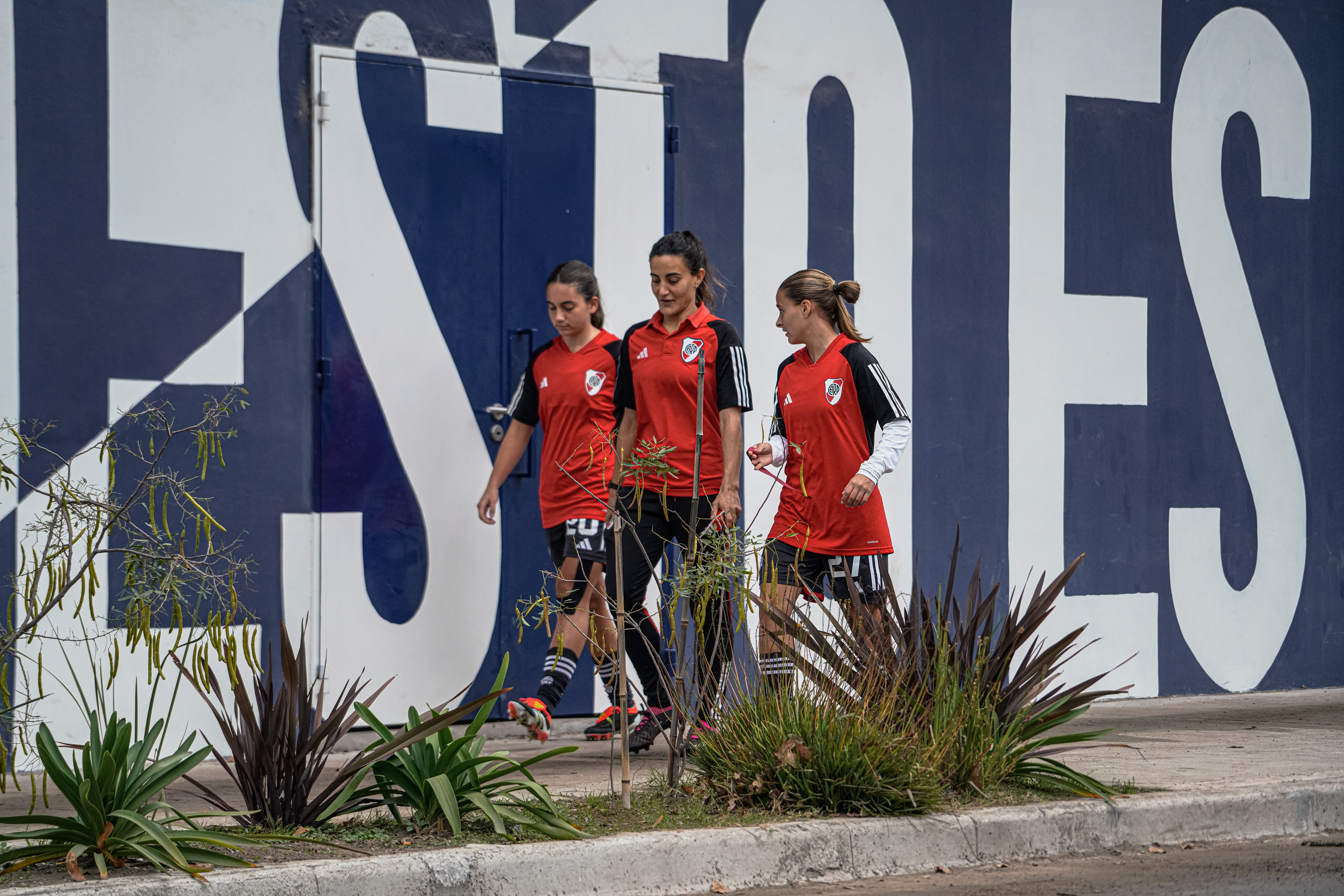 Jime Tello - Imagen 16