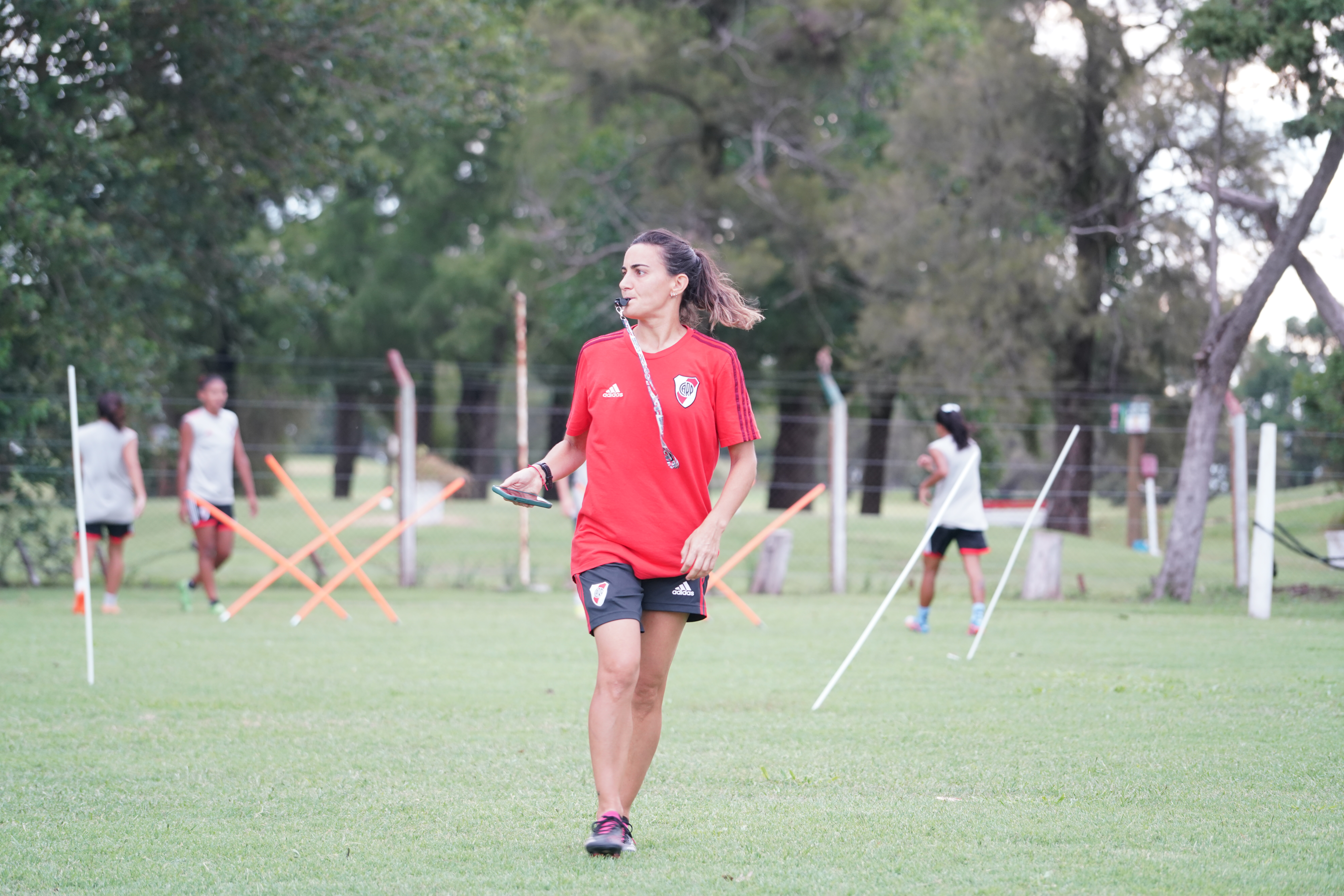 Jime Tello - Imagen 10