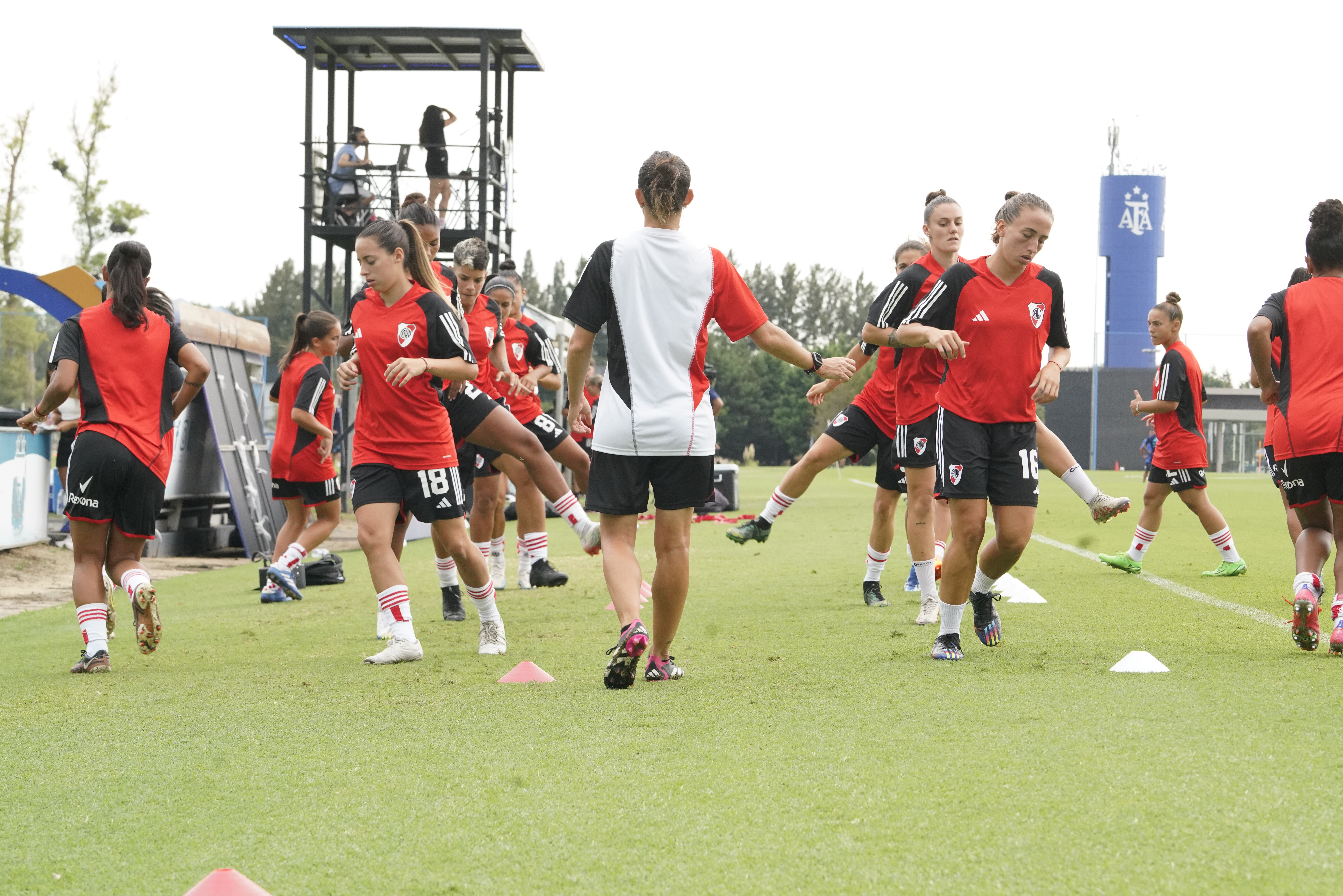 Jime Tello - Imagen 11