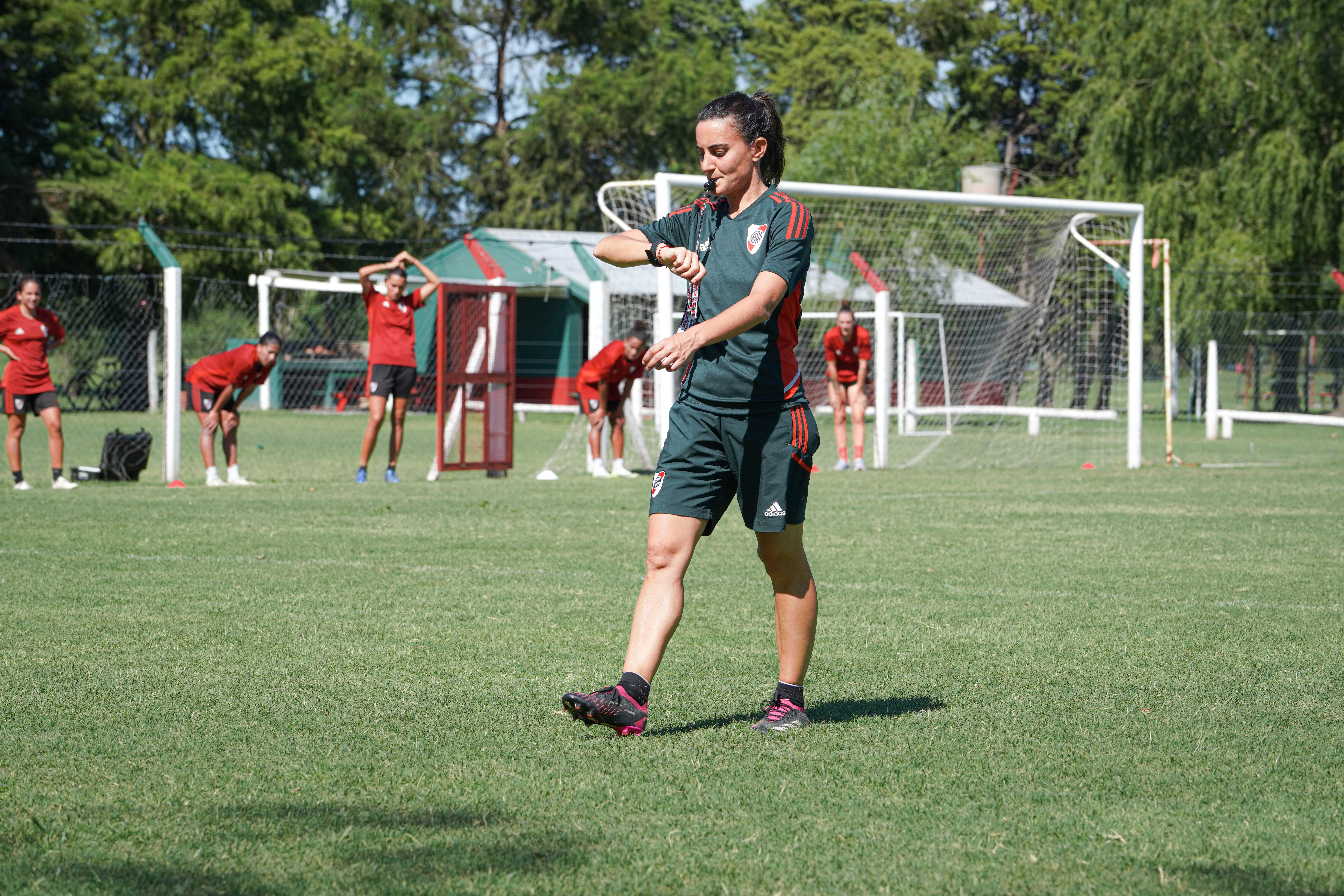 Jime Tello - Imagen 13